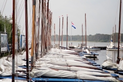 IMG_9052 (Large)