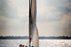 IMG_9557 (Large)